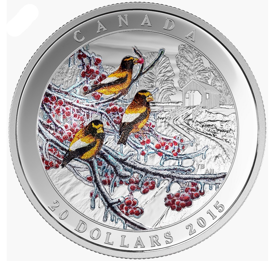 Image 609971_ALTMORE4.jpg, Product 609-971 / Price $399.88, Weather Phenomenon $20 Fine Silver Coin 4-Coin Set from Royal Canadian Mint (RCM) on TSC.ca's Coins department