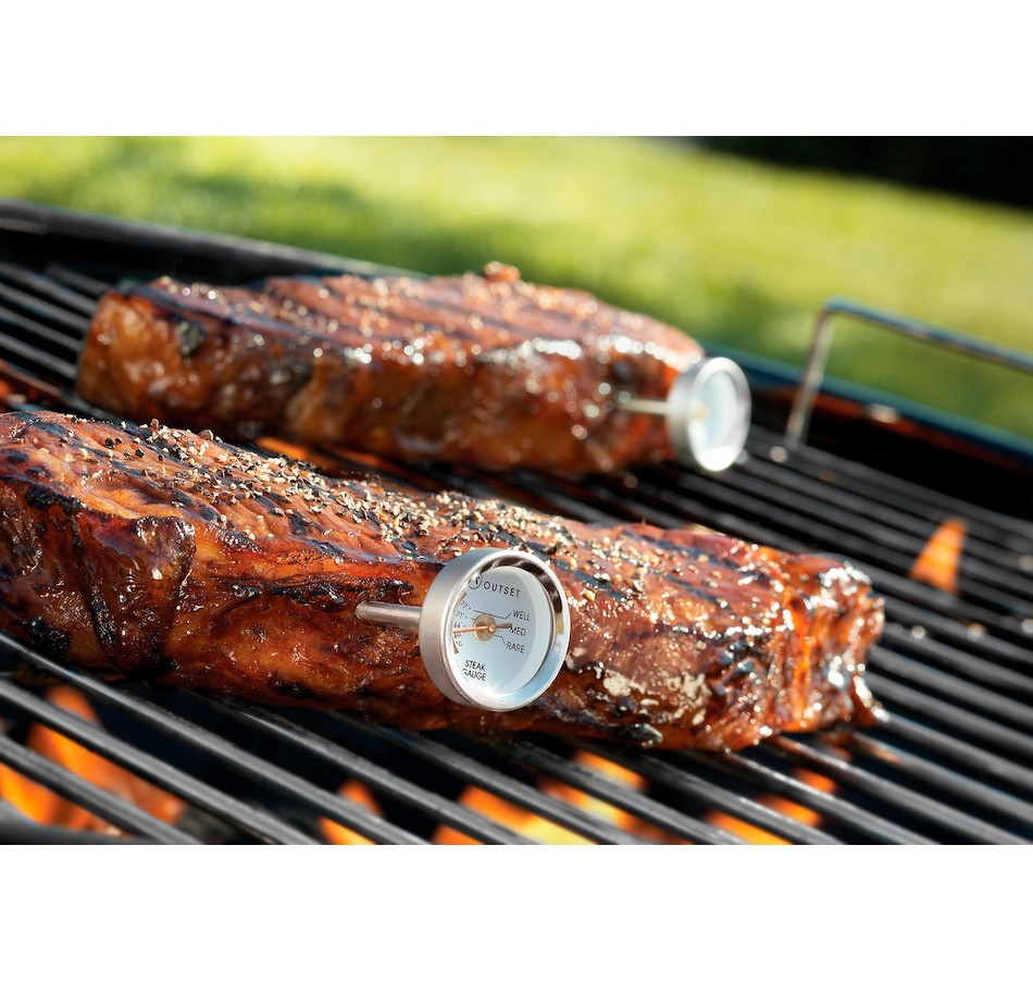 Image 618826_ALTMORE1.jpg, Product 618-826 / Price $21.49, Outset Steak Thermometers (Set of 4) from Outset Grillware on TSC.ca's Home & Garden department