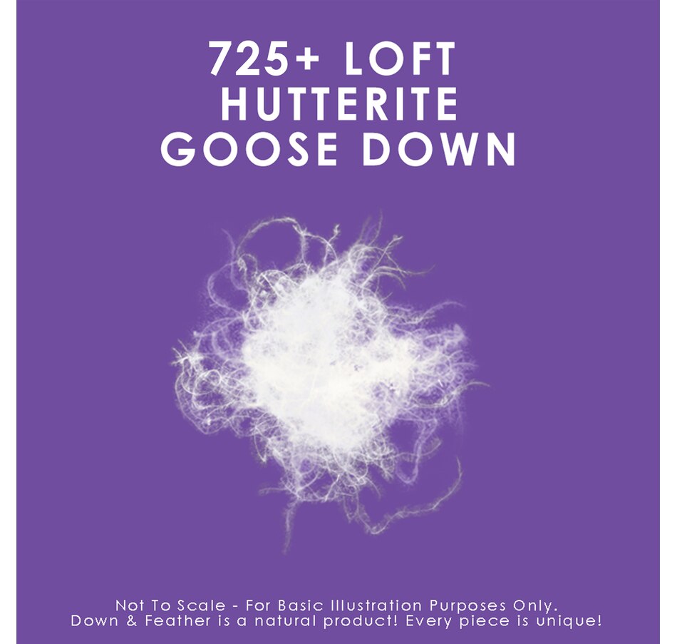 Image 625020_ALTMORE2.jpg, Product 625-020 / Price $380.00 - $500.00, Canadian Down & Feather Hutterite Goose Down Pillow (Firm) from Canadian Down & Feather on TSC.ca's Home & Garden department