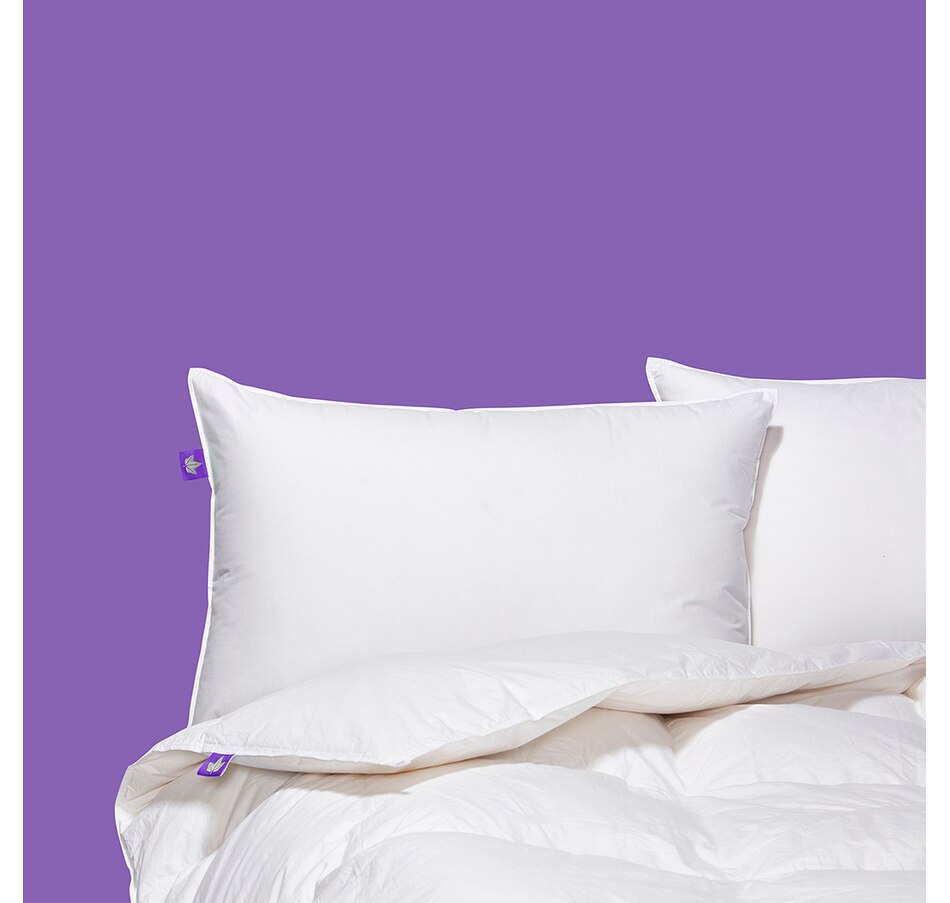 Image 625020_ALTMORE3.jpg, Product 625-020 / Price $380.00 - $500.00, Canadian Down & Feather Hutterite Goose Down Pillow (Firm) from Canadian Down & Feather on TSC.ca's Home & Garden department