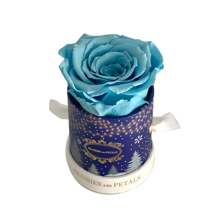 Image 625807_BLU.jpg, Product 625-807 / Price $51.00, Prairies and Petals Holiday Miniature Arrangement from Prairies And Petals on TSC.ca's Home & Garden department
