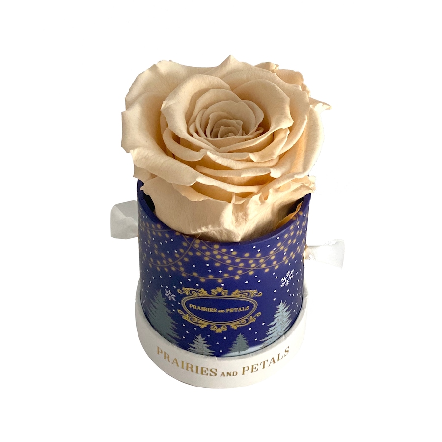 Image 625807_CHM.jpg, Product 625-807 / Price $51.00, Prairies and Petals Holiday Miniature Arrangement from Prairies And Petals on TSC.ca's Home & Garden department