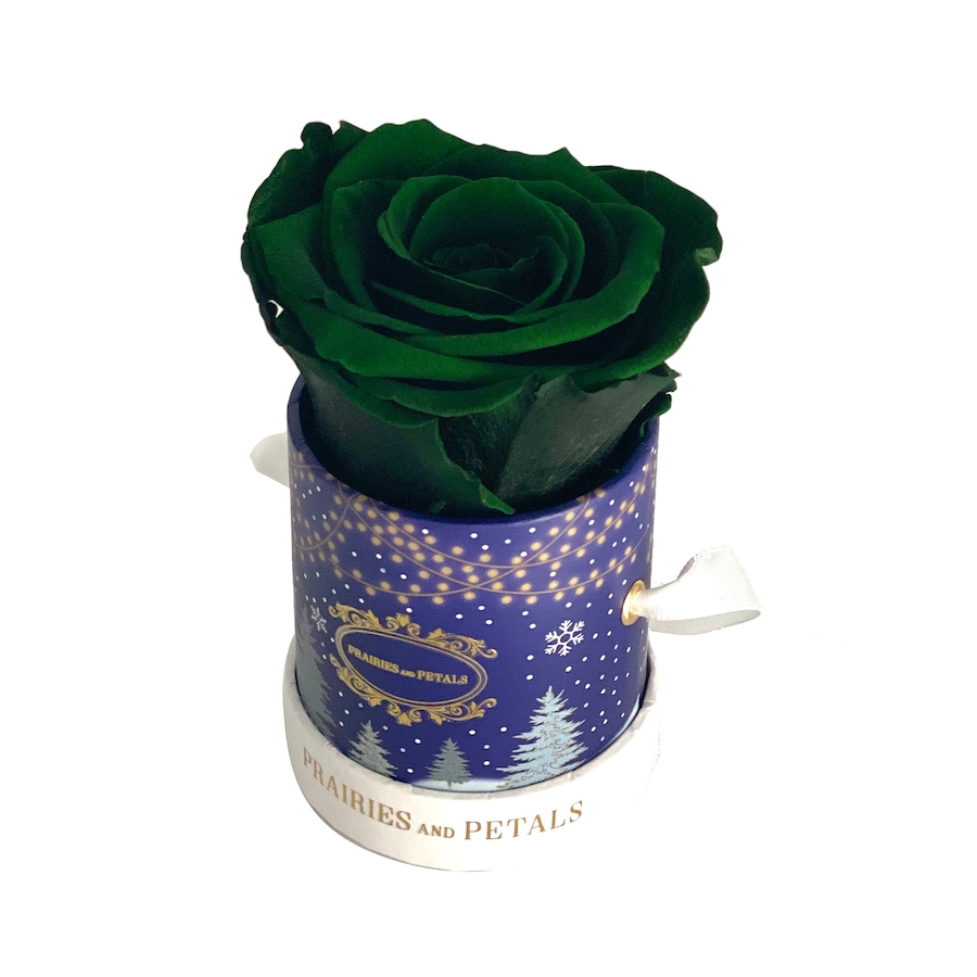 Image 625807_GRN.jpg, Product 625-807 / Price $51.00, Prairies and Petals Holiday Miniature Arrangement from Prairies And Petals on TSC.ca's Home & Garden department