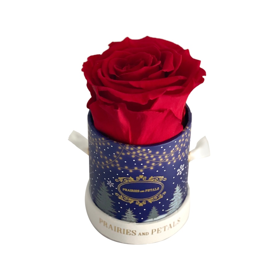 Image 625807_RED.jpg, Product 625-807 / Price $51.00, Prairies and Petals Holiday Miniature Arrangement from Prairies And Petals on TSC.ca's Home & Garden department