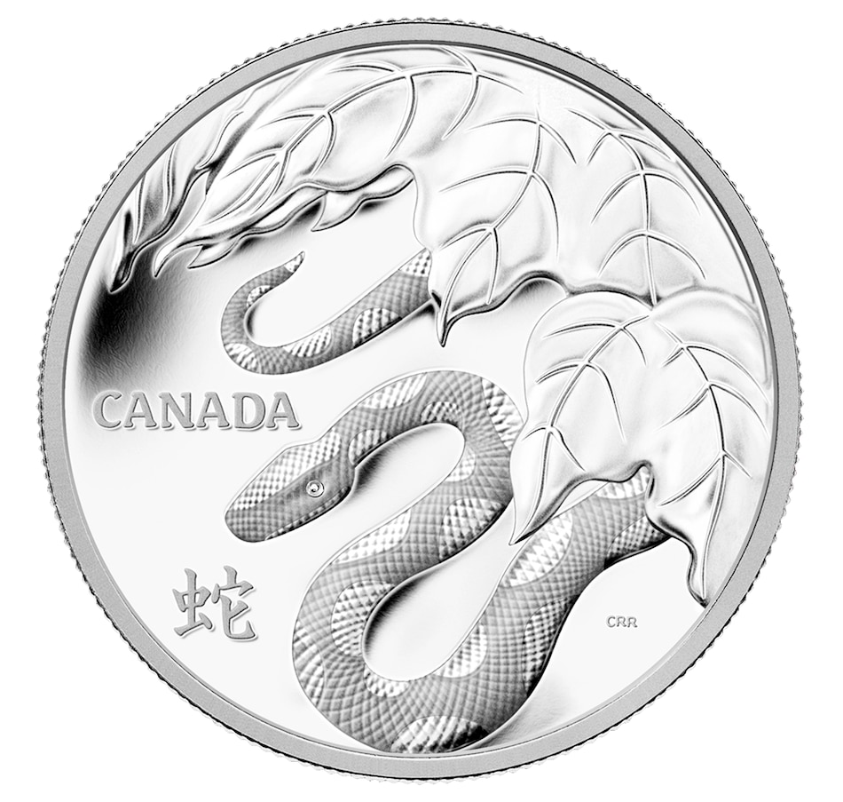 Image 626425.jpg, Product 626-425 / Price $2,249.95, 2013 $250 Kilo Silver Coin Year of the Snake from Royal Canadian Mint (RCM) on TSC.ca's Coins department