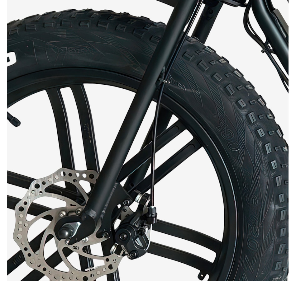 Image 627733_ALTMORE2.jpg, Product 627-733 / Price $1,599.99, GoTyger 20" 7-Speed With 4.0 Fat Tire 36V 55W Foldable E-Bike from Gotyger on TSC.ca's Health & Fitness department