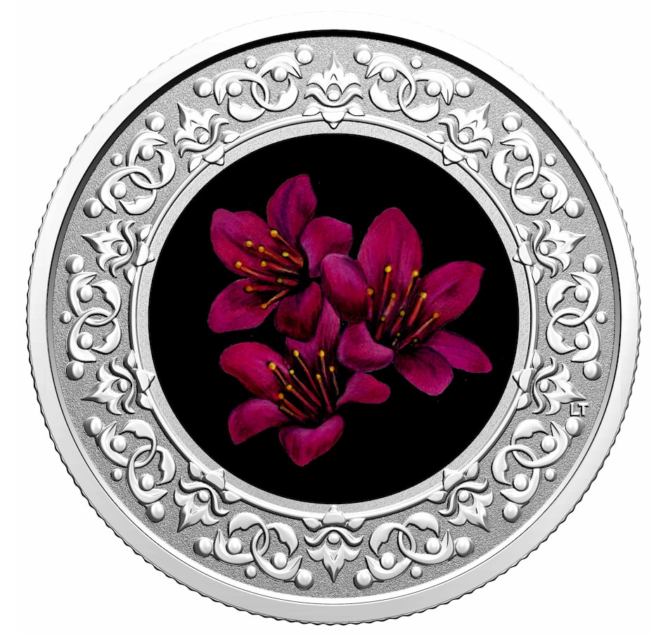 Image 627799.jpg, Product 627-799 / Price $54.95, 2021 $3 Fine Silver Floral Emblems of Canada Purple Saxifrage - Nunavut from The Coin Show with Steven Bromberg on TSC.ca's Coins department