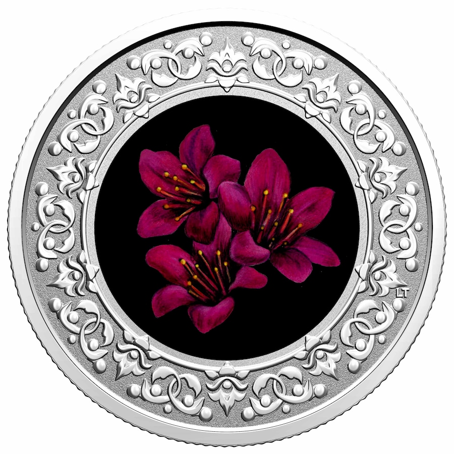 Image 627799.jpg, Product 627-799 / Price $54.95, 2021 $3 Fine Silver Floral Emblems of Canada Purple Saxifrage - Nunavut from The Coin Show with Steven Bromberg on TSC.ca's Coins department
