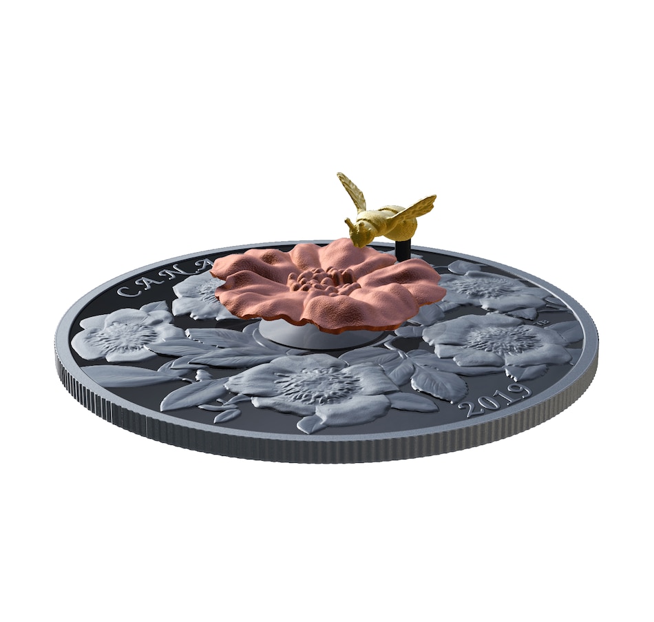 Image 629560_ALTMORE1.jpg, Product 629-560 / Price $569.95, $50 Five-Ounce Fine Silver Bumblebee and the Bloom Coin, plus 25-Cent Bee and Aster Coin from Royal Canadian Mint (RCM) on TSC.ca's Coins department