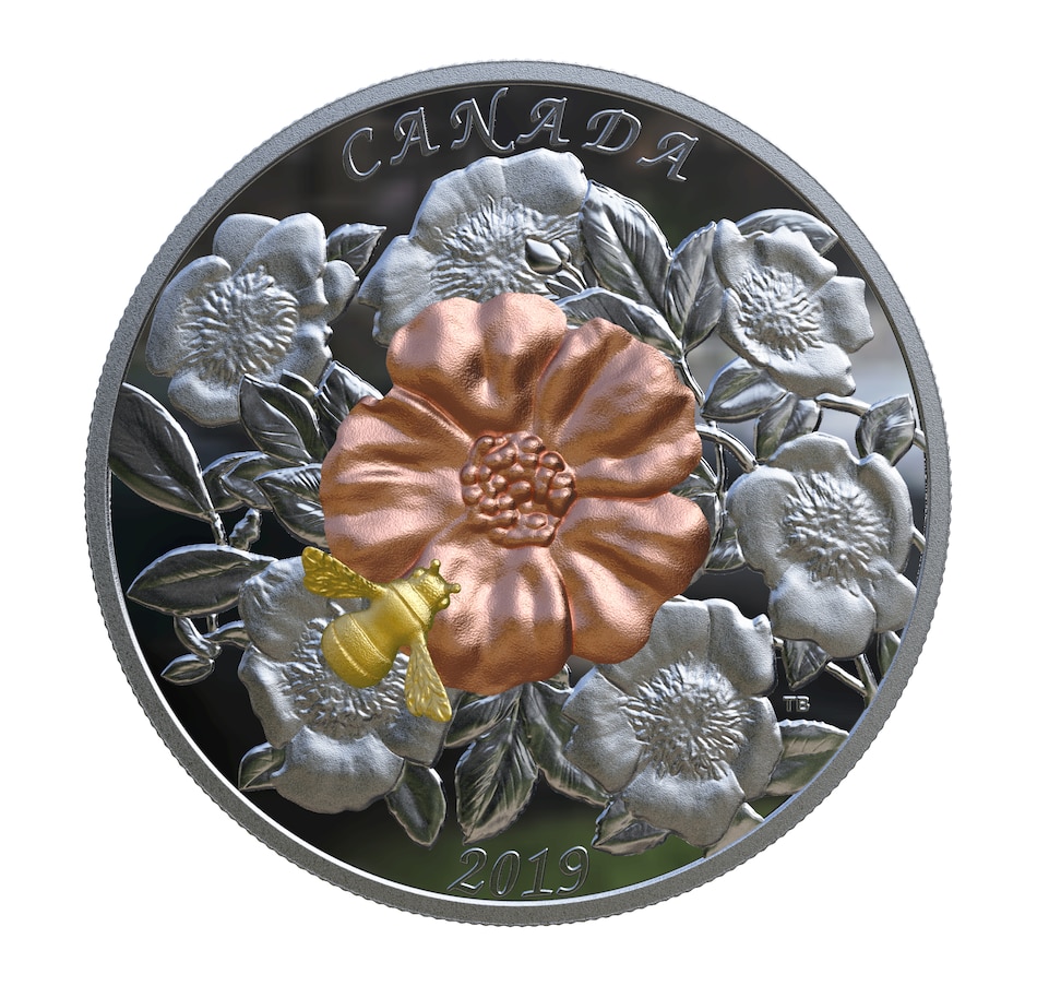 Image 629560_ALTMORE2.jpg, Product 629-560 / Price $569.95, $50 Five-Ounce Fine Silver Bumblebee and the Bloom Coin, plus 25-Cent Bee and Aster Coin from Royal Canadian Mint (RCM) on TSC.ca's Coins department