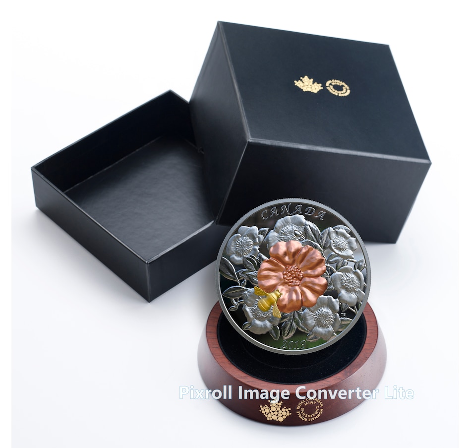 Image 629560_ALTMORE4.jpg, Product 629-560 / Price $569.95, $50 Five-Ounce Fine Silver Bumblebee and the Bloom Coin, plus 25-Cent Bee and Aster Coin from Royal Canadian Mint (RCM) on TSC.ca's Coins department