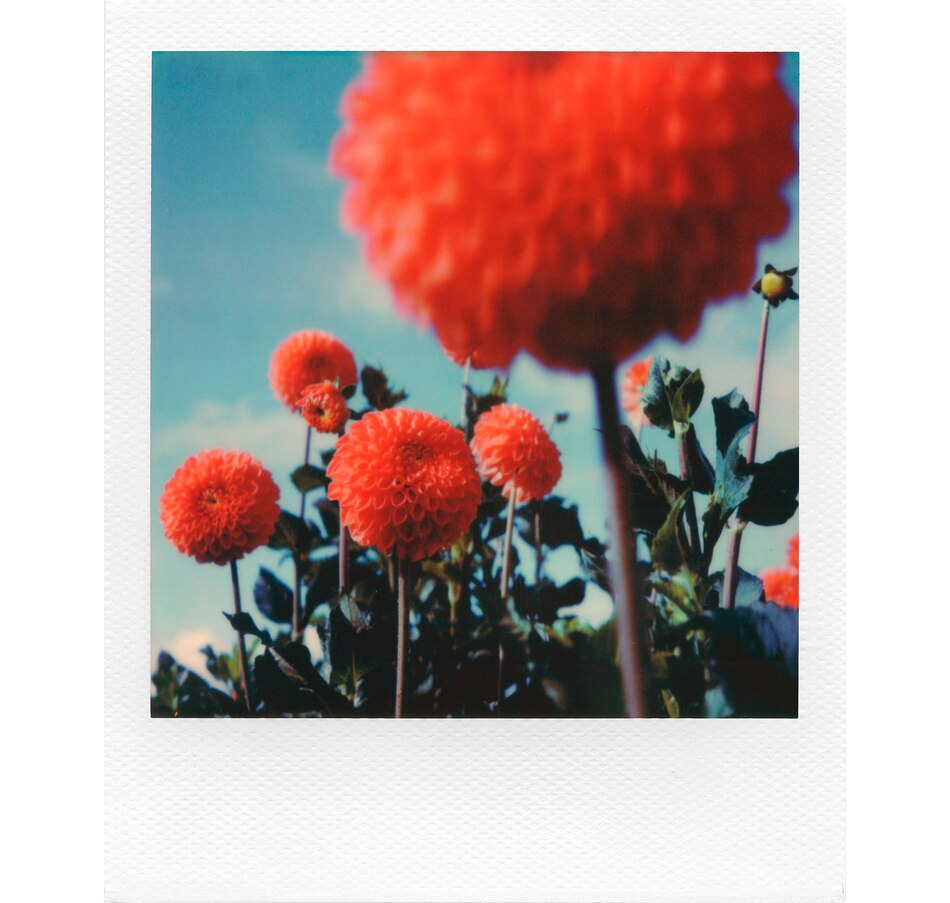 Image 630350_ALTMORE5.jpg, Product 630-350 / Price $34.99, Polaroid Colour Film for SX-70 from Polaroid on TSC.ca's Electronics department