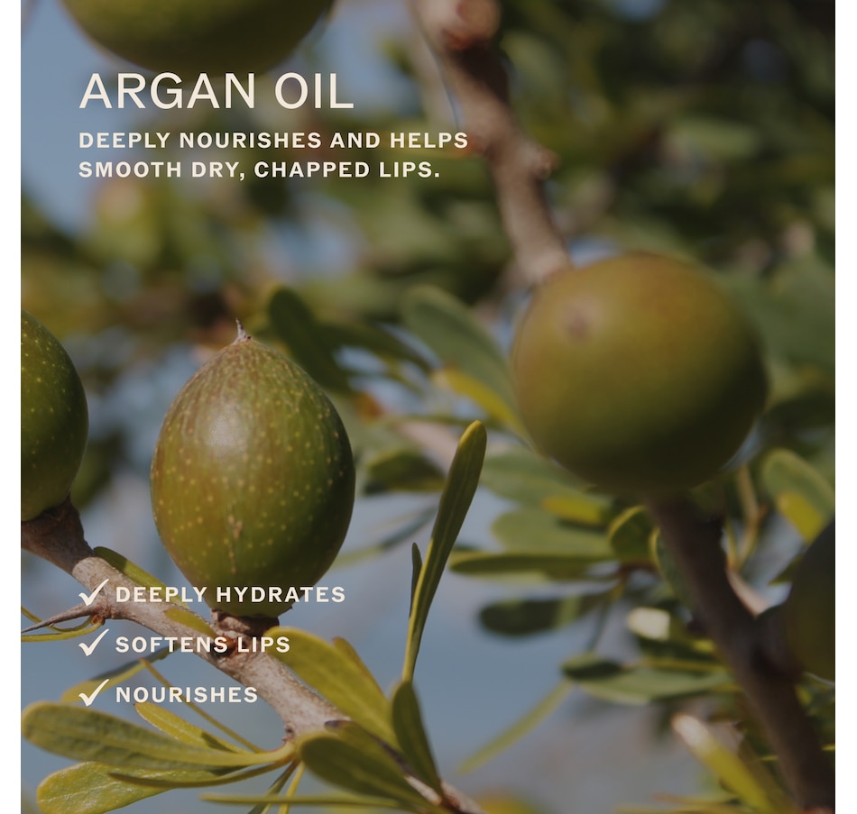 Image 631793_ALTMORE4.jpg, Product 631-793 / Price $22.00, Sahajan Lip Karma in Mint from Sahajan on TSC.ca's Beauty department