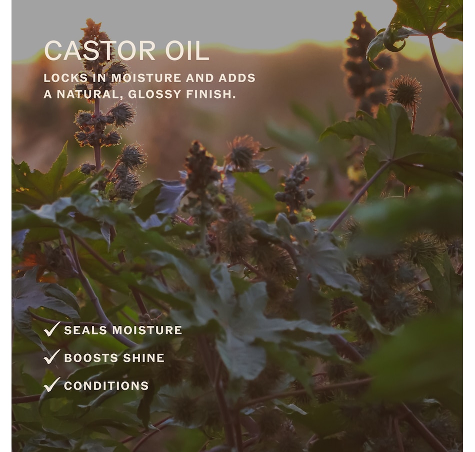 Image 631793_ALTMORE5.jpg, Product 631-793 / Price $22.00, Sahajan Lip Karma in Mint from Sahajan on TSC.ca's Beauty department