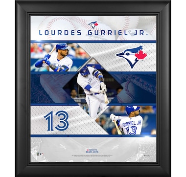Fanatics Authentic Lourdes Gurriel, Jr. Toronto Blue Jays Framed Stitched Stars Collage