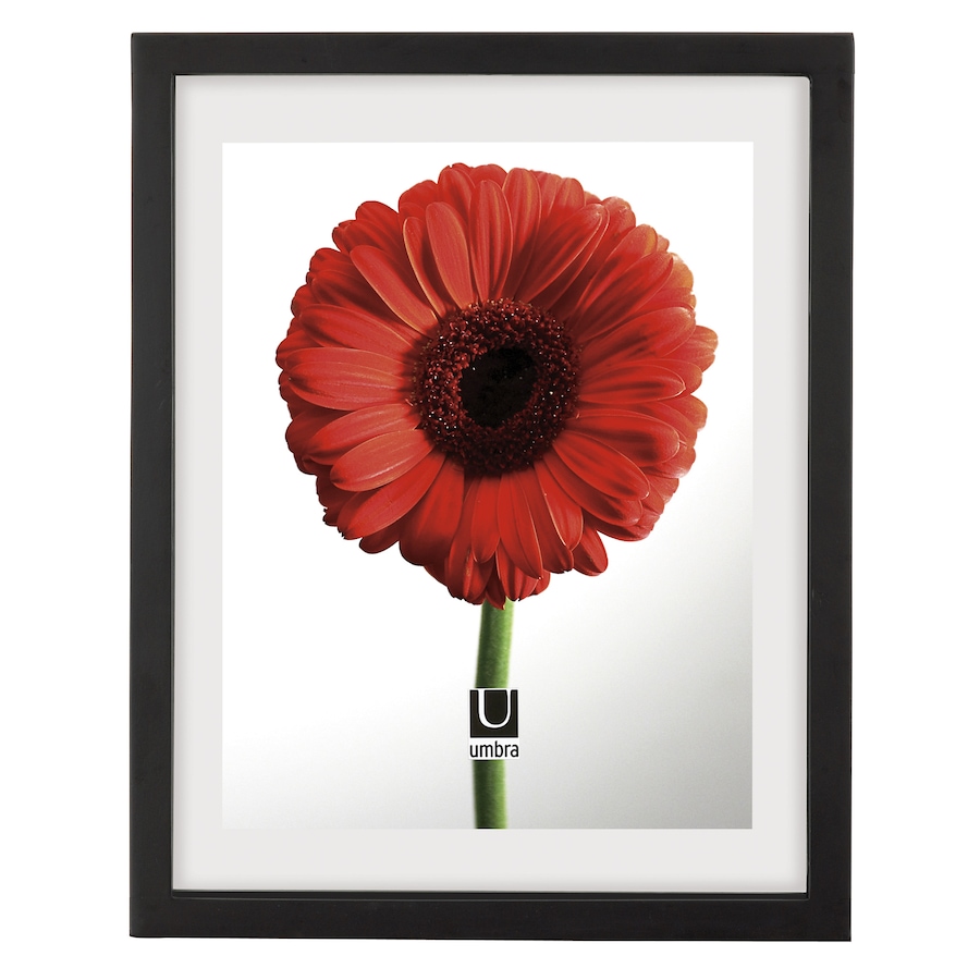 Image 637726.jpg, Product 637-726 / Price $17.00, Umbra Document Frame 11 X 14" Black from Umbra on TSC.ca's Home & Garden department