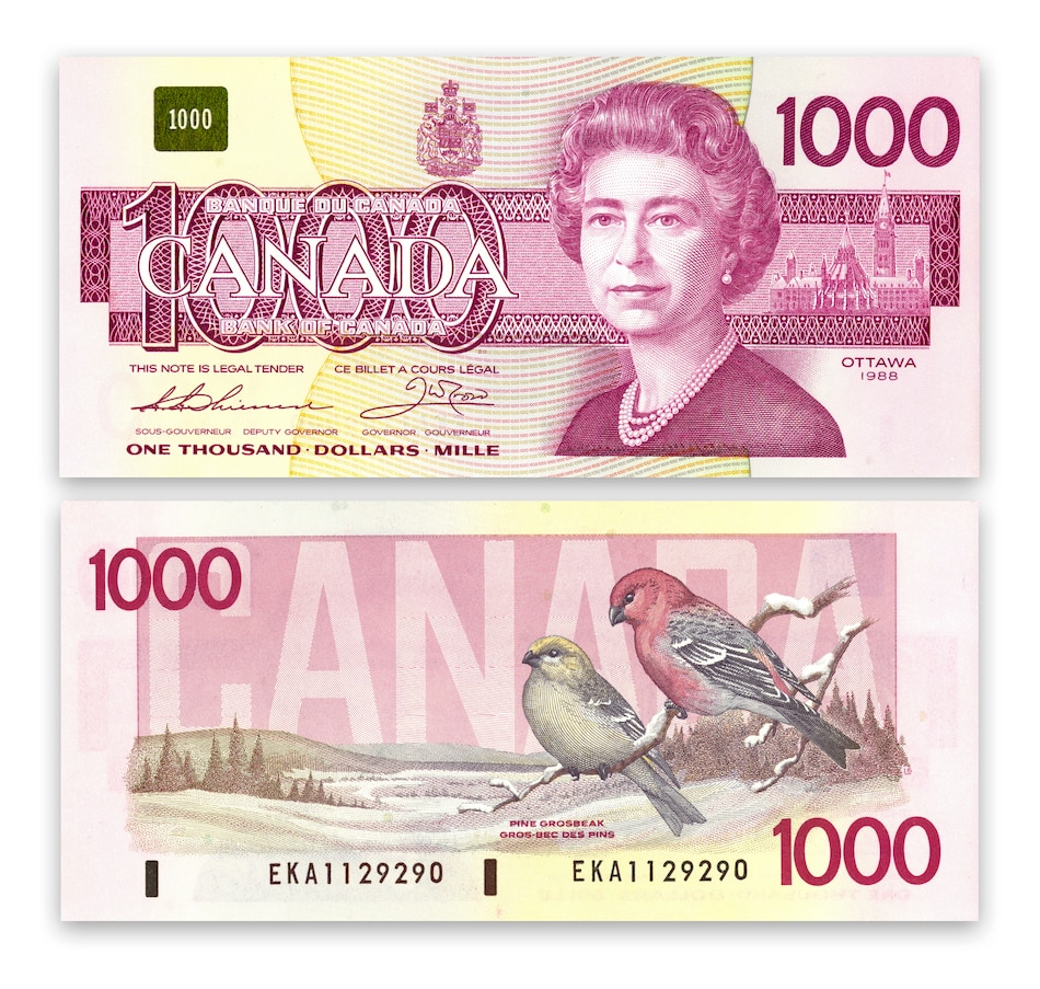 Image 646229_ALTMORE2.jpg, Product 646-229 / Price $2,995.00, Complete Uncirculated 1986–1991 Bird Series $2–$1,000 (Thiessen and Crow Signatures) from Canadian Coin & Currency on TSC.ca's Coins department