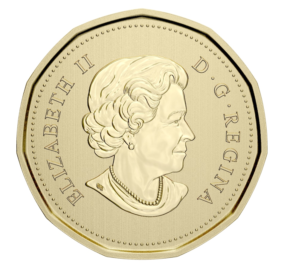 Image 646560_ALTMORE2.jpg, Product 646-560 / Price $48.88, 2021 Specimen Coin Set with Unique Turtle Loon Dollar from Royal Canadian Mint (RCM) on TSC.ca's Coins department