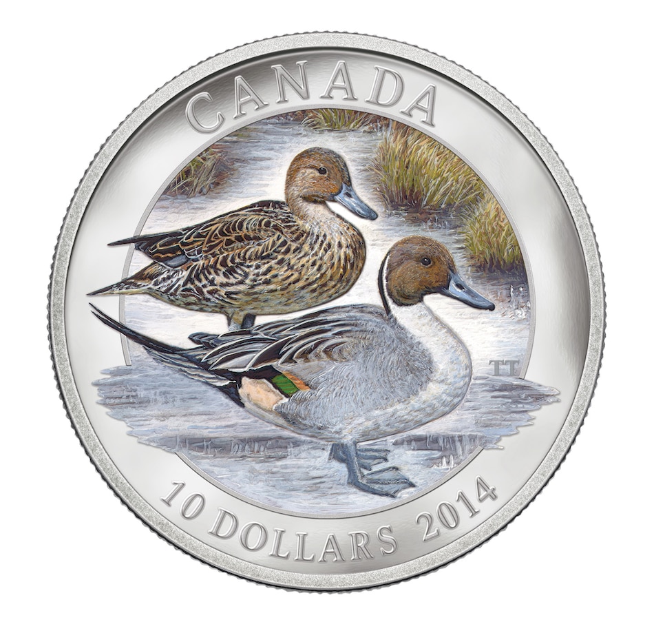 Image 646566.jpg, Product 646-566 / Price $48.88, $10 Fine Silver Coin Pintail Duck from Royal Canadian Mint on TSC.ca's Coins department