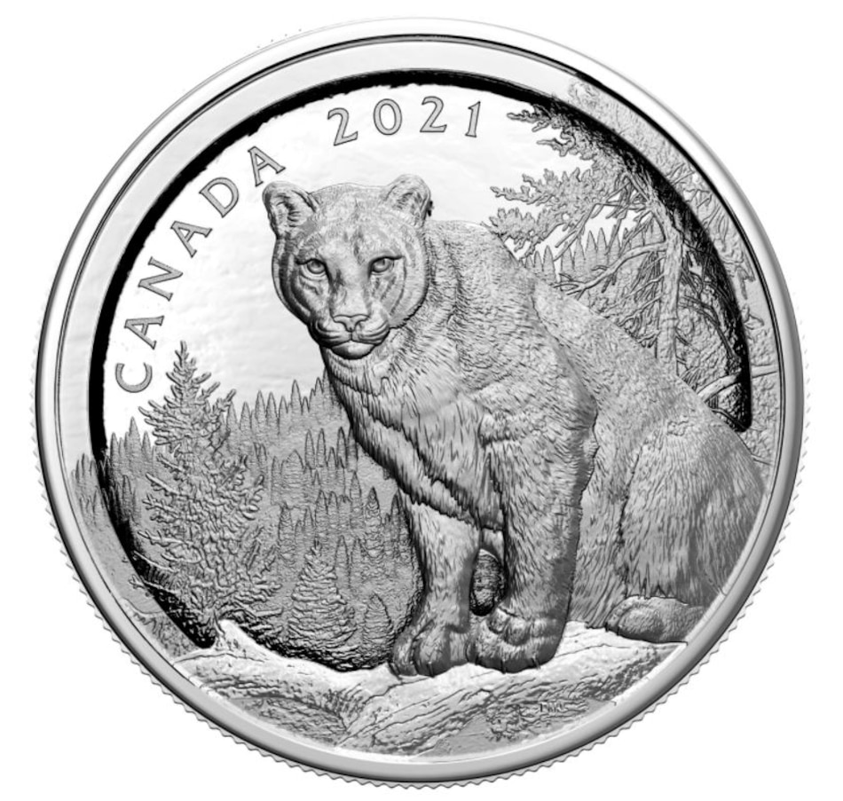 Image 647718.jpg, Product 647-718 / Price $799.95, 2021 $50 Multilayered Cougar Fine Silver Coin from Royal Canadian Mint (RCM) on TSC.ca's Coins department