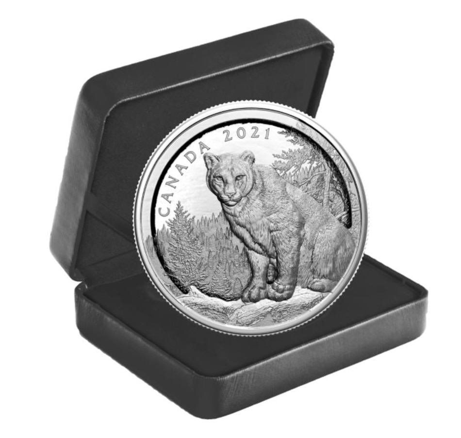 Image 647718_ALTMORE3.jpg, Product 647-718 / Price $799.95, 2021 $50 Multilayered Cougar Fine Silver Coin from Royal Canadian Mint (RCM) on TSC.ca's Coins department
