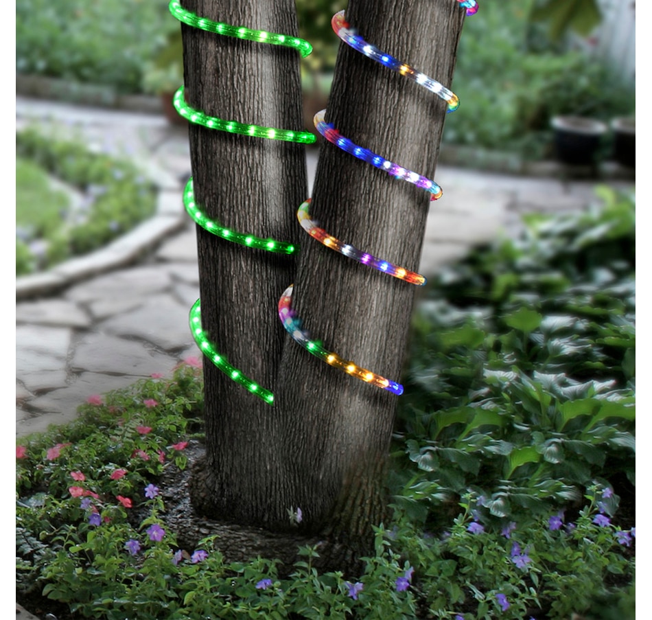 Image 654829_ALTMORE1.jpg, Product 654-829 / Price $52.99, Sterno Home 12' LED Colour-Changing Rope Light with Remote from Sterno Home on TSC.ca's Home & Garden department