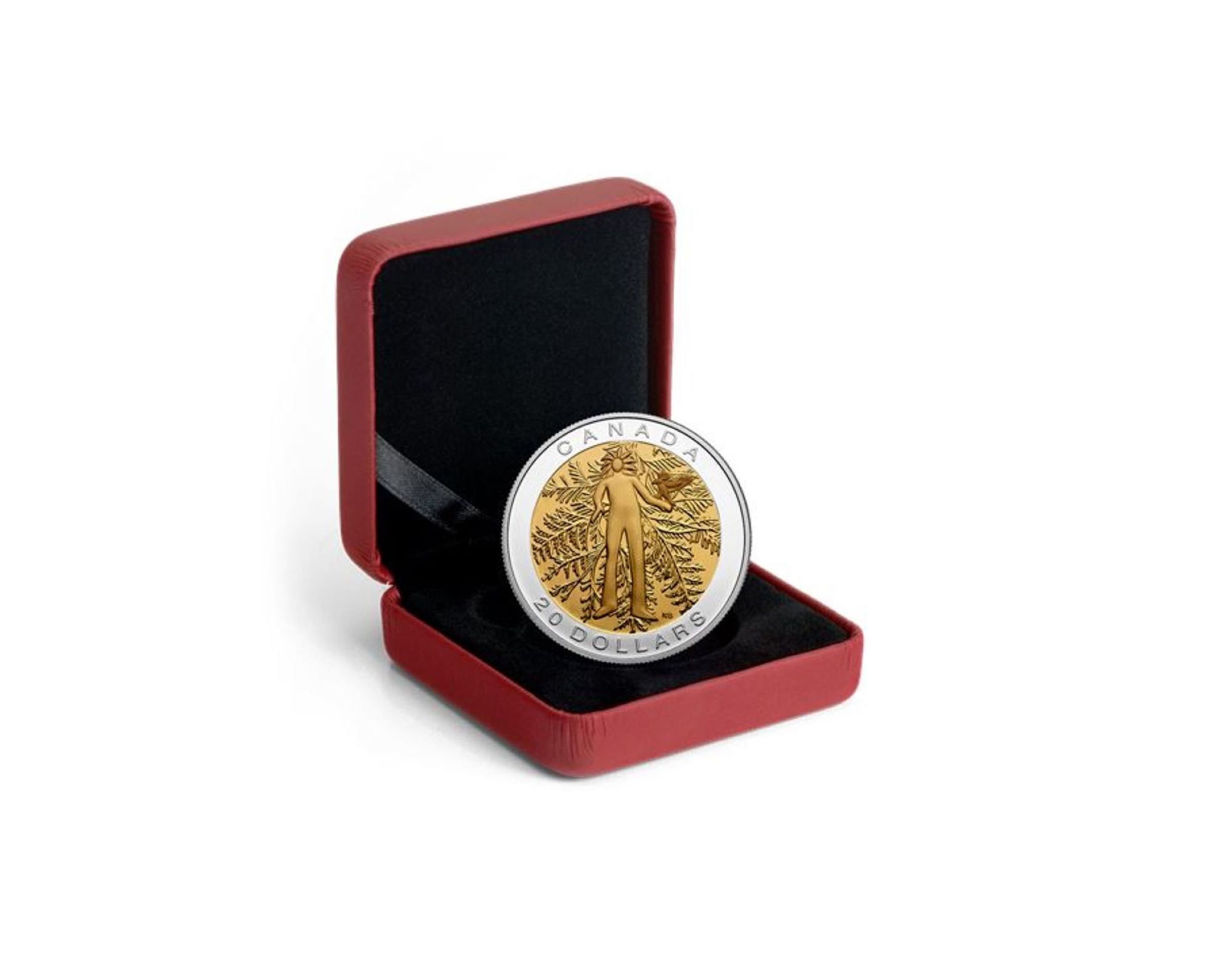 Imagery from Canada's First Nations - The Raven $20 Fine Silver