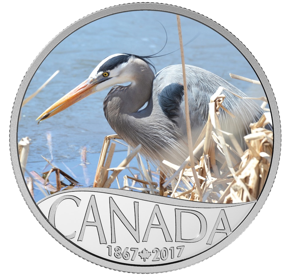 2017 $10 Great Blue Heron Fine Silver Coin - TSC.ca