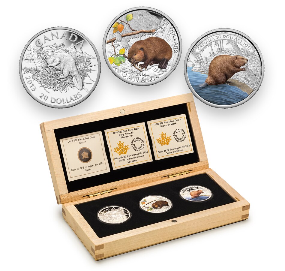 Image 658202.jpg, Product 658-202 / Price $299.95, Set of Three $20 Fine Silver Canadian Beaver Coins from The Coin Show with Steven Bromberg on TSC.ca's Coins department