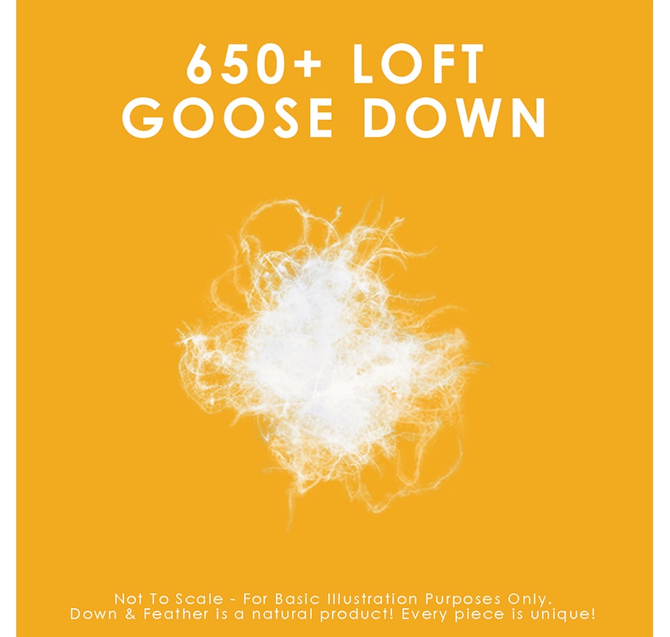Image 658501_ALTMORE2.jpg, Product 658-501 / Price $420.00 - $820.00, Canadian Down & Feather 650-Loft White Goose Down Duvet (All-Season) from Canadian Down & Feather on TSC.ca's Home & Garden department