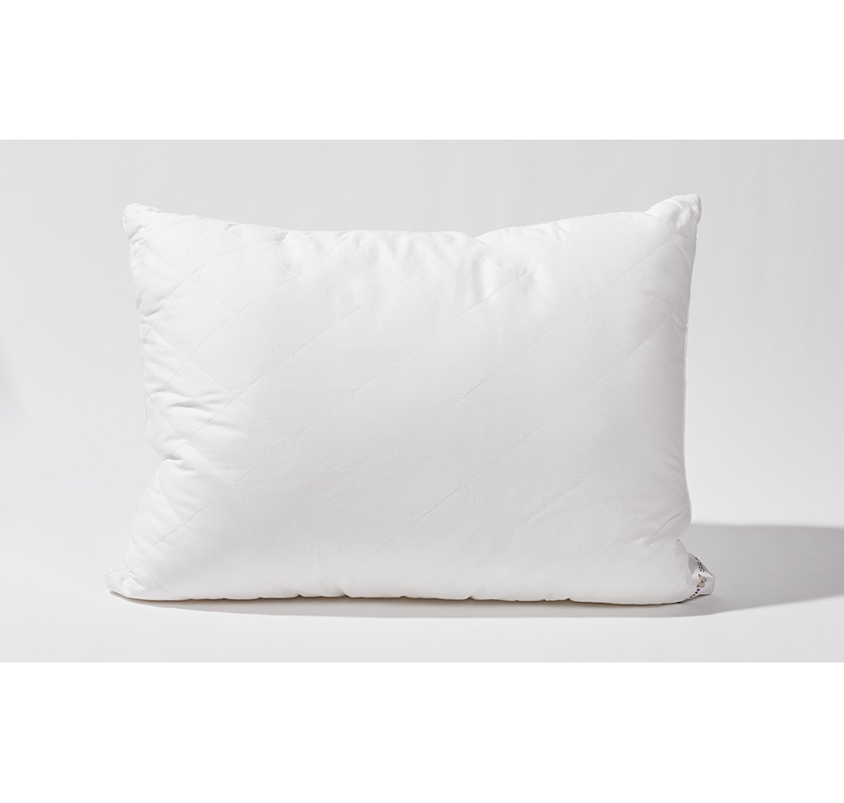 Image 660356.jpg, Product 660-356 / Price $69.99 - $79.99, Mulberry Silk Lined Pillow from Mulberry Silk Bedding on TSC.ca's Home & Garden department