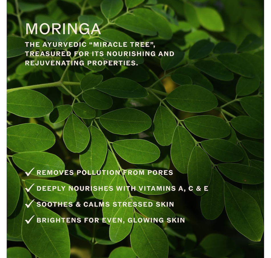 Image 662221_ALTMORE3.jpg, Product 662-221 / Price $54.00, Sahajan Essential Oil Cleanser from Sahajan on TSC.ca's Beauty department