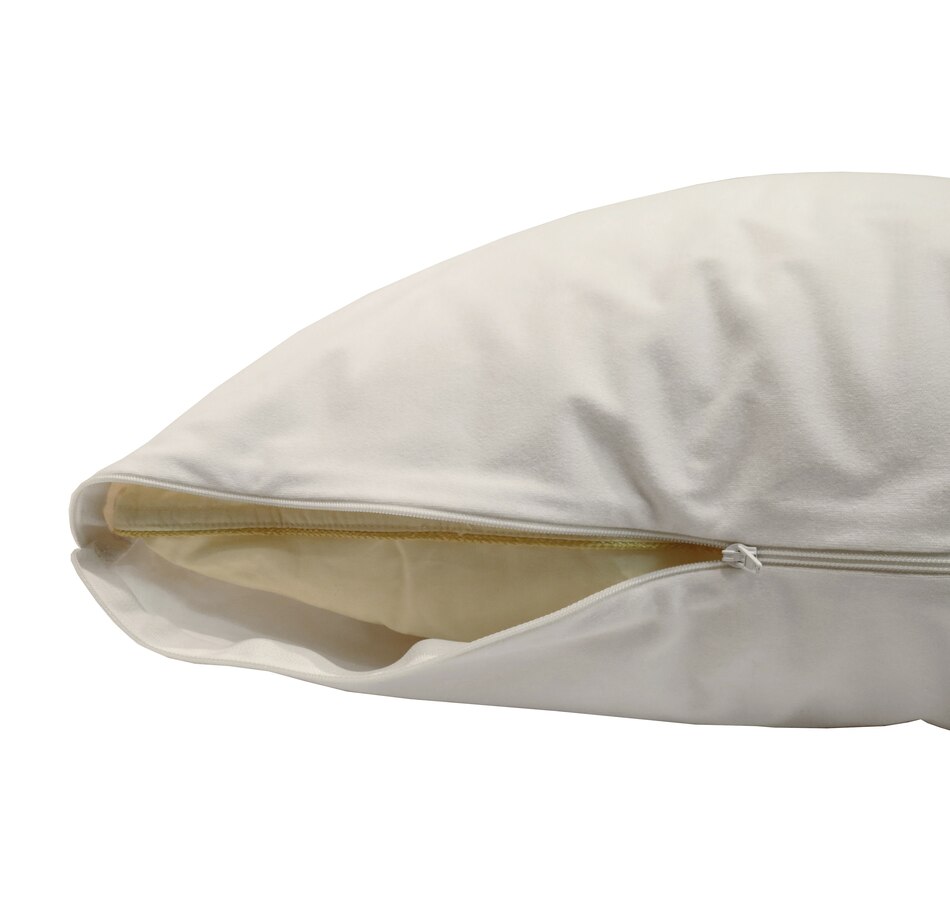 tsc.ca - dreamSERENE® Tranquility Pillow Protector – Pack of 2
