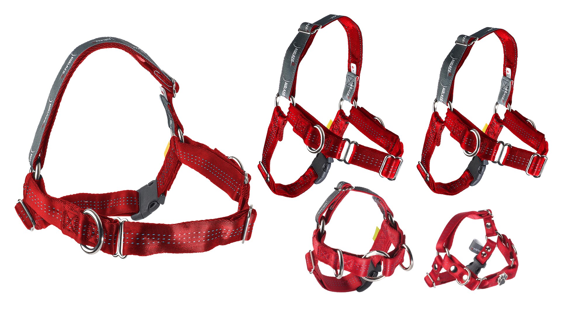 tsc dog collars