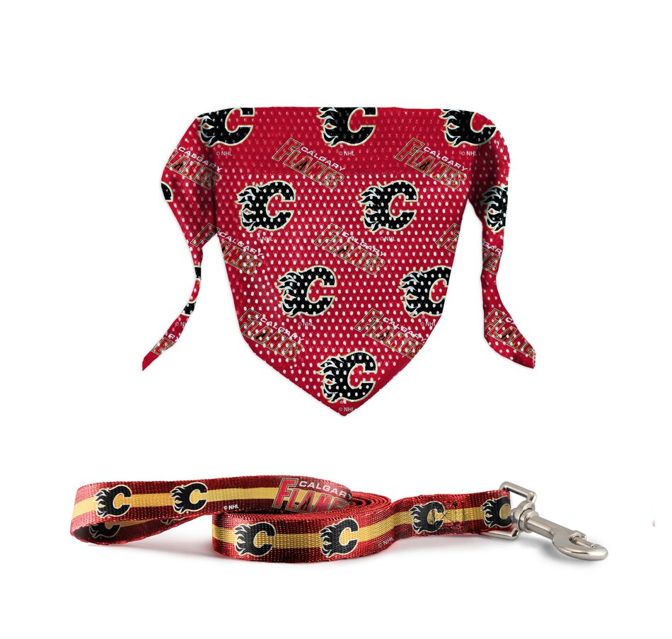 tsc.ca Calgary Flames 6' Leash & Pet Bandana