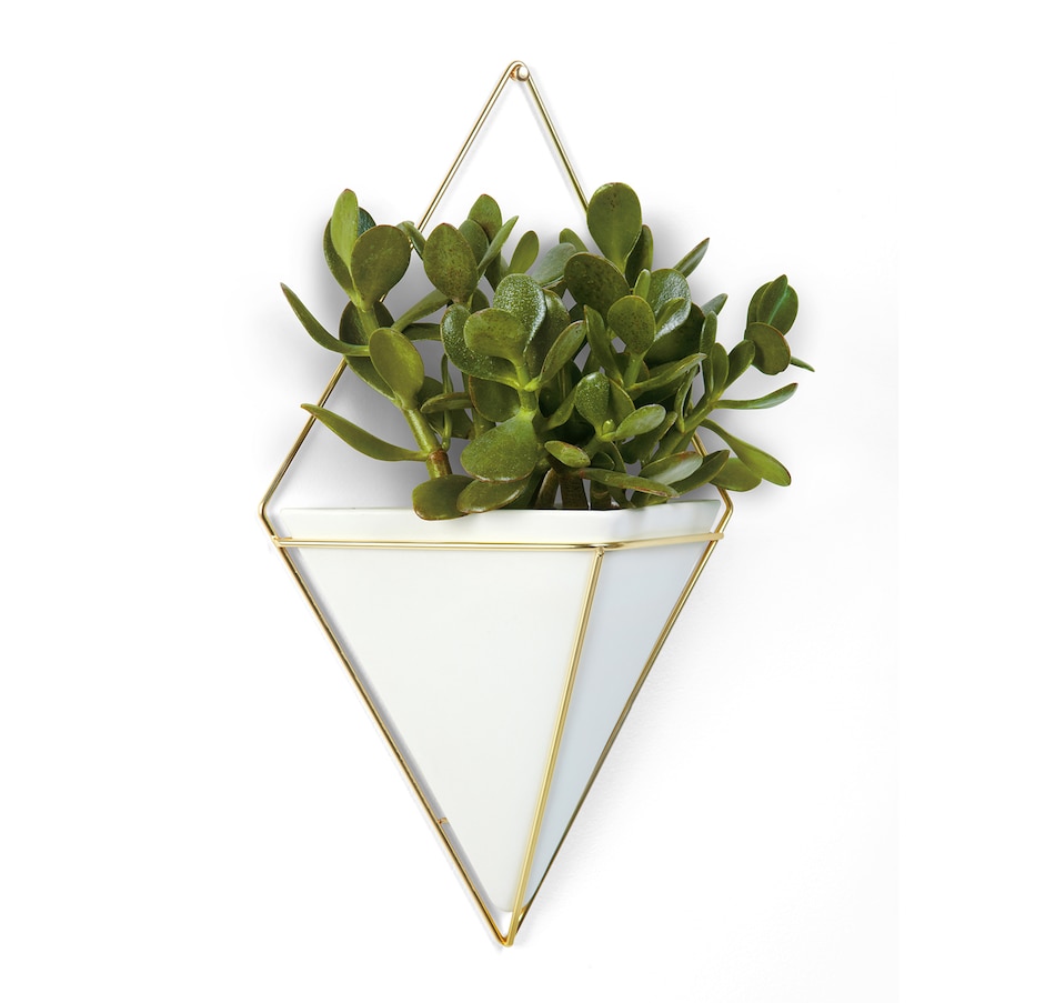Image 665257_ALTMORE1.jpg, Product 665-257 / Price $22.00 - $42.00, Umbra Trigg Wall Display from Umbra on TSC.ca's Home & Garden department