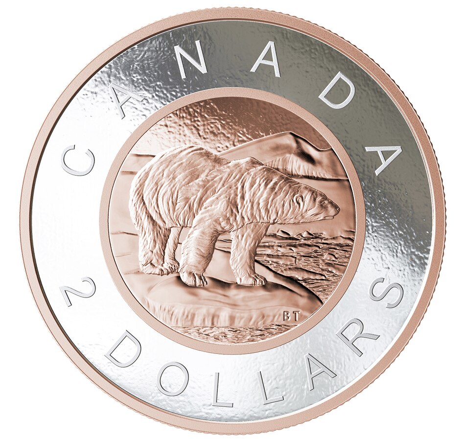 Image 665513.jpg, Product 665-513 / Price $619.95, 2018 Big Coin 2-Dollar Polar Bear Design from Royal Canadian Mint (RCM) on TSC.ca's Coins department
