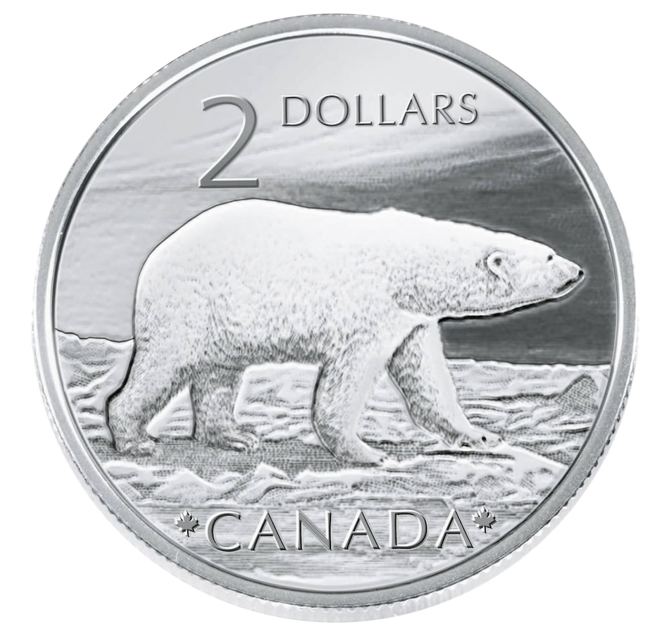 Острова кука 1 доллар 2013 года серебро желтые цветы. Канадский доллар с бобром. Белый медведь на монетах каких стран. 5 евро. Белый медведь на монетах каких стран.