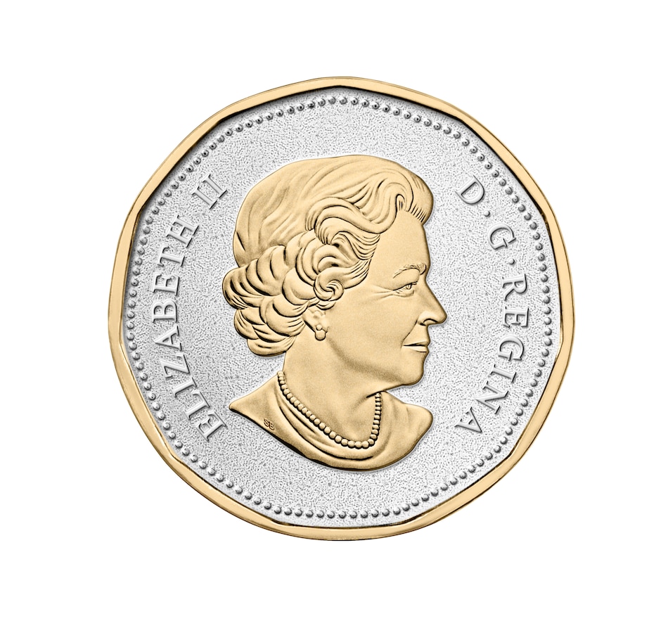 Image 666233_ALTMORE6.jpg, Product 666-233 / Price $4,995.95, 2015 "Big Coin" Five Ounce Fine Silver Coins Complete Six Piece Proof Set from The Coin Show with Steven Bromberg on TSC.ca's Coins department