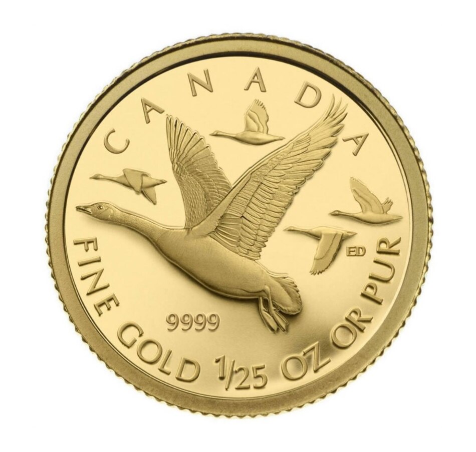 Image 667420.jpg, Product 667-420 / Price $189.95, 2011 1/25 Ounce Pure Gold Coin Canada Geese from Royal Canadian Mint (RCM) on TSC.ca's Coins department