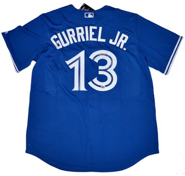 Youth Lourdes Gurriel Jr. Toronto Blue Jays Roster Name & Number T-Shirt -  Gray