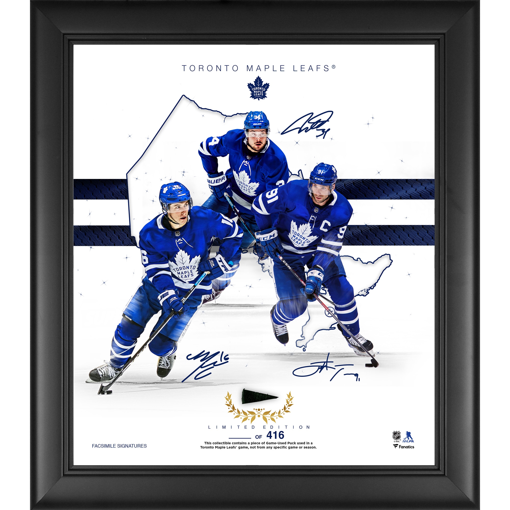 toronto maple leafs game used