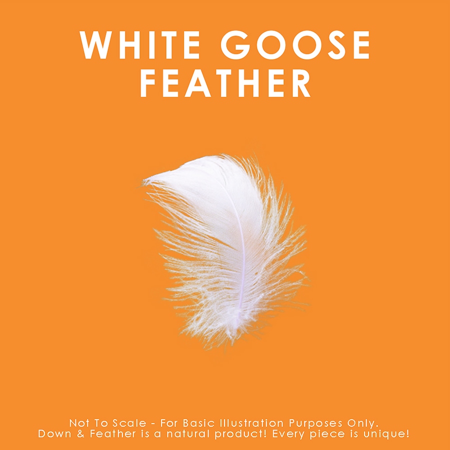Image 680349_ALTMORE2.jpg, Product 680-349 / Price $109.25 - $156.75, Canadian Down & Feather White Goose Feather Duvet (all-season) from Canadian Down & Feather on TSC.ca's Home & Garden department
