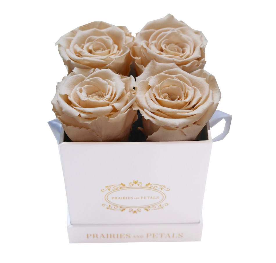 Image 698088_CHM.jpg, Product 698-088 / Price $109.00 - $114.00, Prairies and Petals Diora Arrangement with Parisian Style White Box from Prairies And Petals on TSC.ca's Home & Garden department