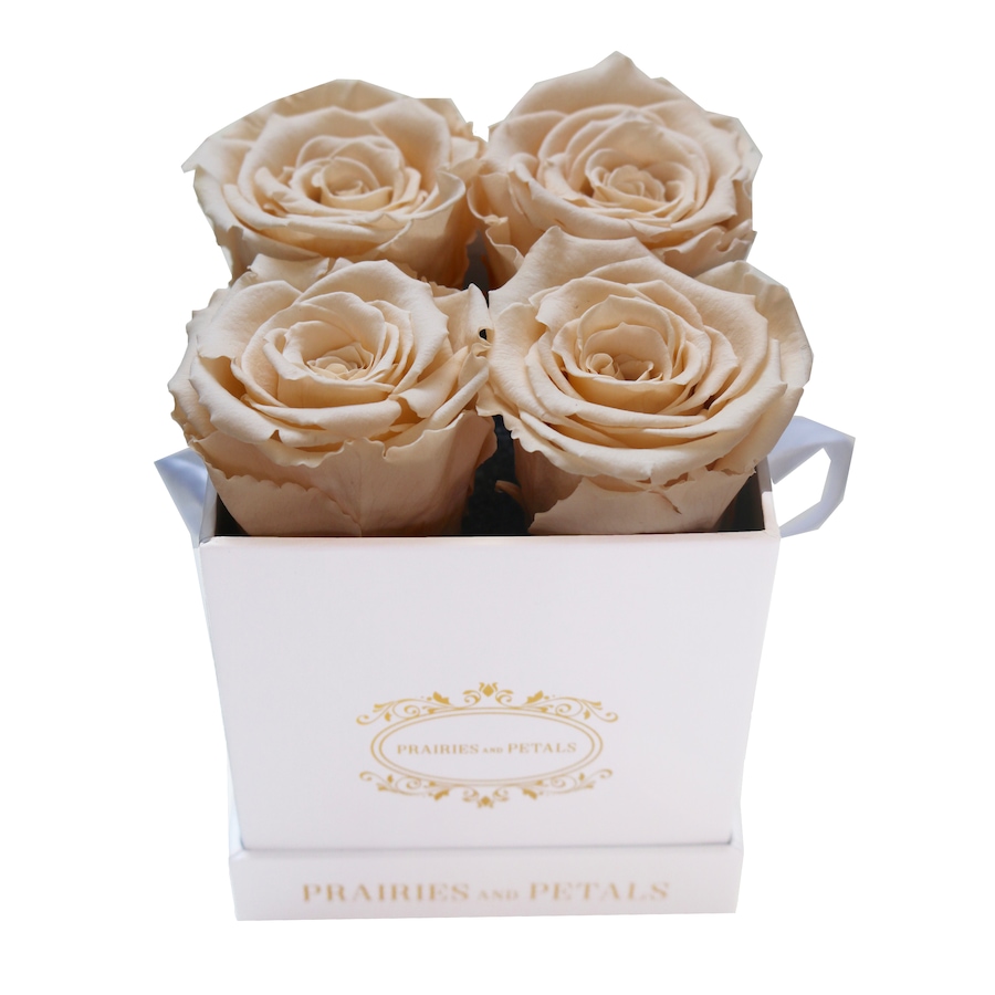 Image 698088_CHM.jpg, Product 698-088 / Price $129.00, Prairies and Petals Diora Arrangement with Parisian Style White Box from Prairies And Petals on TSC.ca's Home & Garden department
