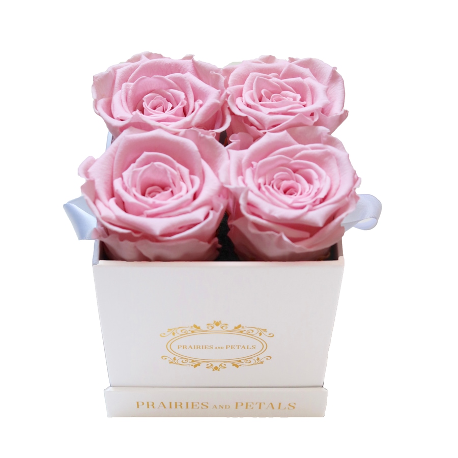 Image 698088_PNK.jpg, Product 698-088 / Price $129.00, Prairies and Petals Diora Arrangement with Parisian Style White Box from Prairies And Petals on TSC.ca's Home & Garden department