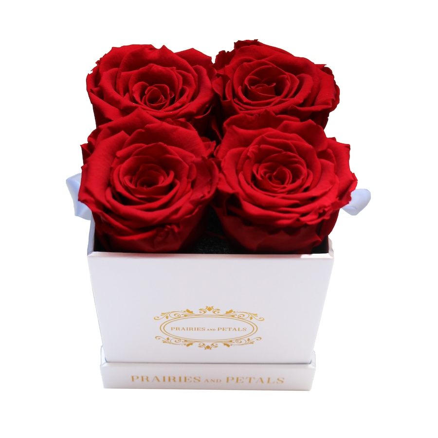 Image 698088_RED.jpg, Product 698-088 / Price $129.00, Prairies and Petals Diora Arrangement with Parisian Style White Box from Prairies And Petals on TSC.ca's Home & Garden department