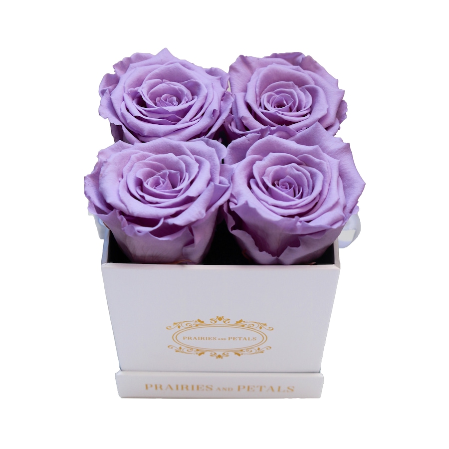 Image 698088_VIO.jpg, Product 698-088 / Price $129.00, Prairies and Petals Diora Arrangement with Parisian Style White Box from Prairies And Petals on TSC.ca's Home & Garden department