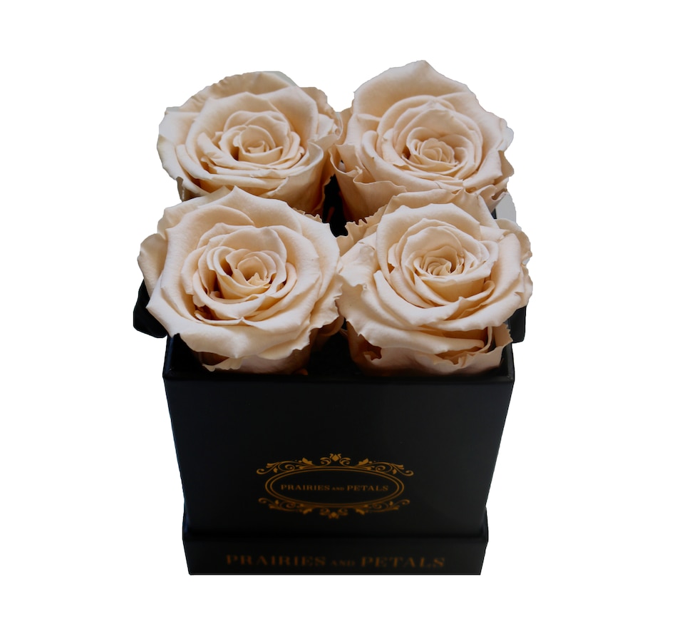 Image 698089_CHM.jpg, Product 698-089 / Price $98.10 - $102.60, Prairies and Petals Diora Arrangement with Parisian Style Black Box from Prairies And Petals on TSC.ca's Home & Garden department