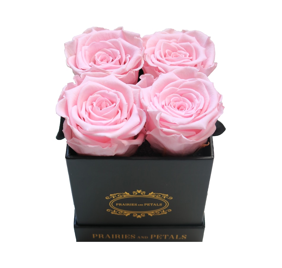 Image 698089_PNK.jpg, Product 698-089 / Price $109.00 - $114.00, Prairies and Petals Diora Arrangement with Parisian Style Black Box from Prairies And Petals on TSC.ca's Home & Garden department